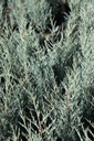 JUSMOONG_20120928151719_xlarge.jpeg