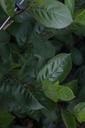 ARPARON_20160624124321_xlarge.jpeg