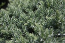 JUSBSTAR_20160715131814_xlarge.jpeg