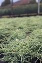 JUSHOLGE_20120928142058_xlarge.jpeg