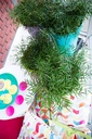 MAESCARE_20120623135354_xlarge.jpeg