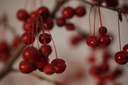 MASTYME_20101026144757_xlarge.jpeg