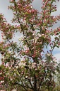 MASTYME_20100421134527_xlarge.jpeg