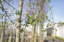 ACBUERGE_20130424082801_xlarge.jpeg