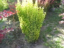BETGROCK_20020619155539_xlarge.jpeg