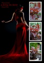 PHOLRED_20120614185800_xlarge.jpeg