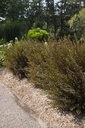 PHOLDEVI_20130819085858_xlarge.jpeg