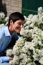 Choisya ternata WHITE DAZZLER (PBR) cont. 7,5L 40/+ cm +ф