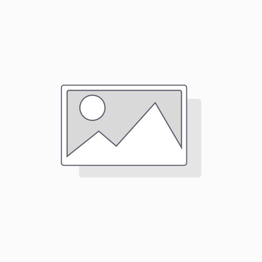 Sarcococca ruscifolia 'Dragon Gate' cont. 3L 25/+ cm